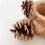 Stable Bird Parrot Standing Perch Parrot Training Stand With Feeding Cup Interactive Pinecone Style Bird Cage Perch 5