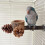 Stable Bird Parrot Standing Perch Parrot Training Stand With Feeding Cup Interactive Pinecone Style Bird Cage Perch 4