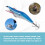 1 Stück Blau Blinkende LED Fischköder Blitzlicht 10 cm Minnow Leucht Squid Jig Garnele Köder Nacht Fischen Köder 6
