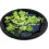 Floating Plant Island Fish Barrier Protector Fine Meshing-80cm 1