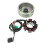 Μαγνήτης στάτορα ανάφλεξης, AC5Wire8Pole Coil4GY6Engine, Ανταλλακτικό υψηλής απόδοσης4Scooter Moped 3