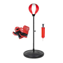 Punching Bag Set for Kids Easy to Assemble for Girls Ages 7 to 14 Year