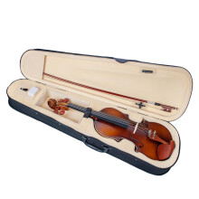 4/4 Size Violin Set with Bow Case Jujube for Beginners Violinist