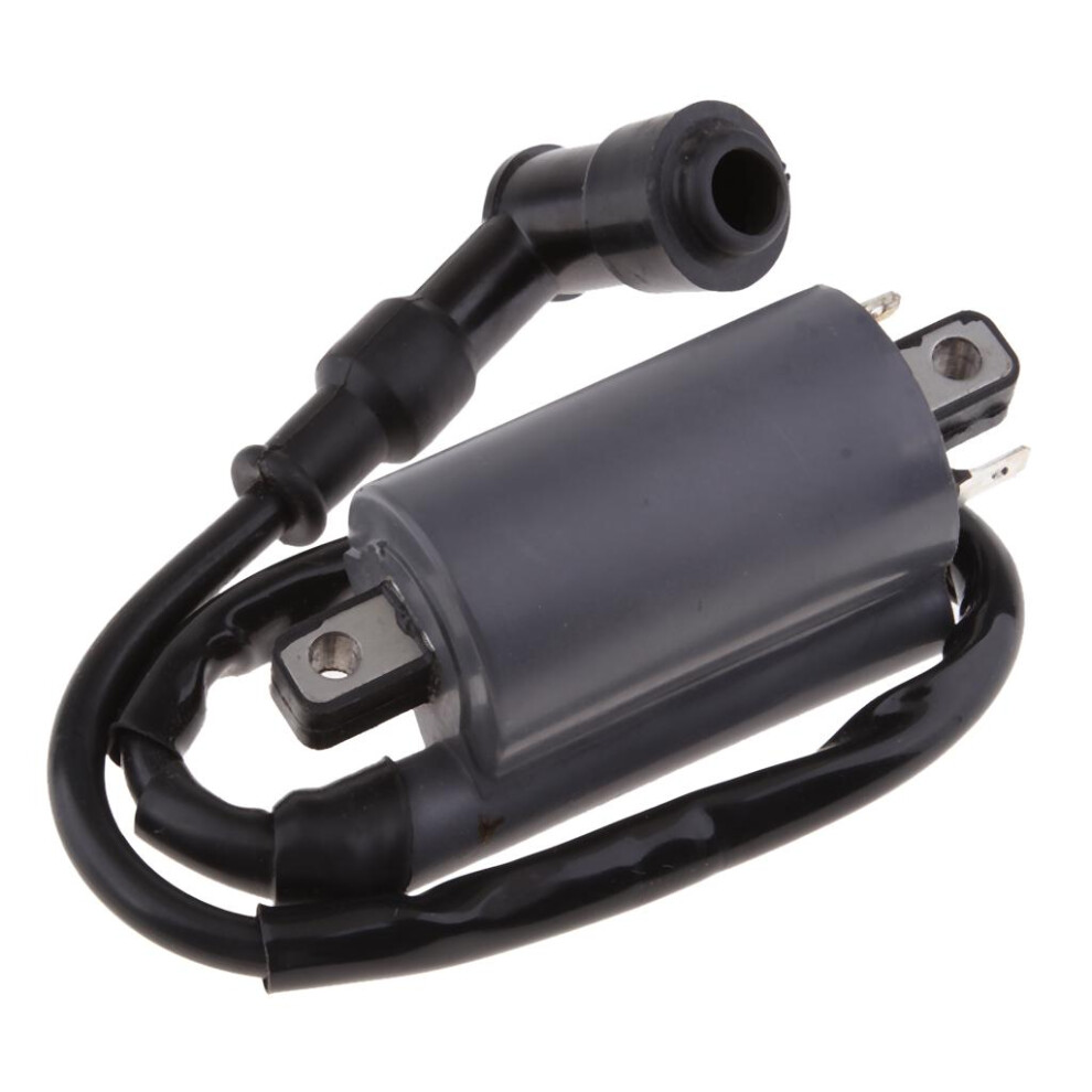 Performance Ignition Coil For Buyang 300Cc D300 G300 H300 Atv Quad Dir 752895223094