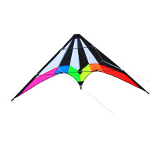 Kite Dual Line Beach Kites Polyester Easy to Fly for Garden Trip Adult