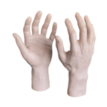 2Pcs Male Hand Model Halloween Fake Hands for Nails Practise Jewelry D
