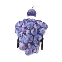 Grape Costume with Hat Set Halloween Props Cosplay for Party Music Fes