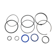 Cylinder Rebuild Seal Kit Replace Spare Parts Hydraulic Cylinder Rebui