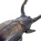 Beetle Boot Jack Shoe and Boot Remover for Shoes Waders Riding Boots 3