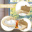 Cat Window Perch Cordless with Suction Cups for Playing Overlooking Sl 3