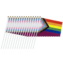 Set regenboogvlaggetjes met levendige kleuren, kleurecht, mini-vlaggetjes met stokje, gemaakt van duurzaam polyester, lichtgewicht en ideaal als