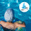 Versatile swimming aid for learning in the pool for backstroke 5