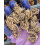 Corms and More Ranunculus Corms HalfClone Juliette (10) 3