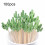Cocktail Picks Handmade Bamboo Toothpicks 100Pcs 5.1in Green Cacti 5