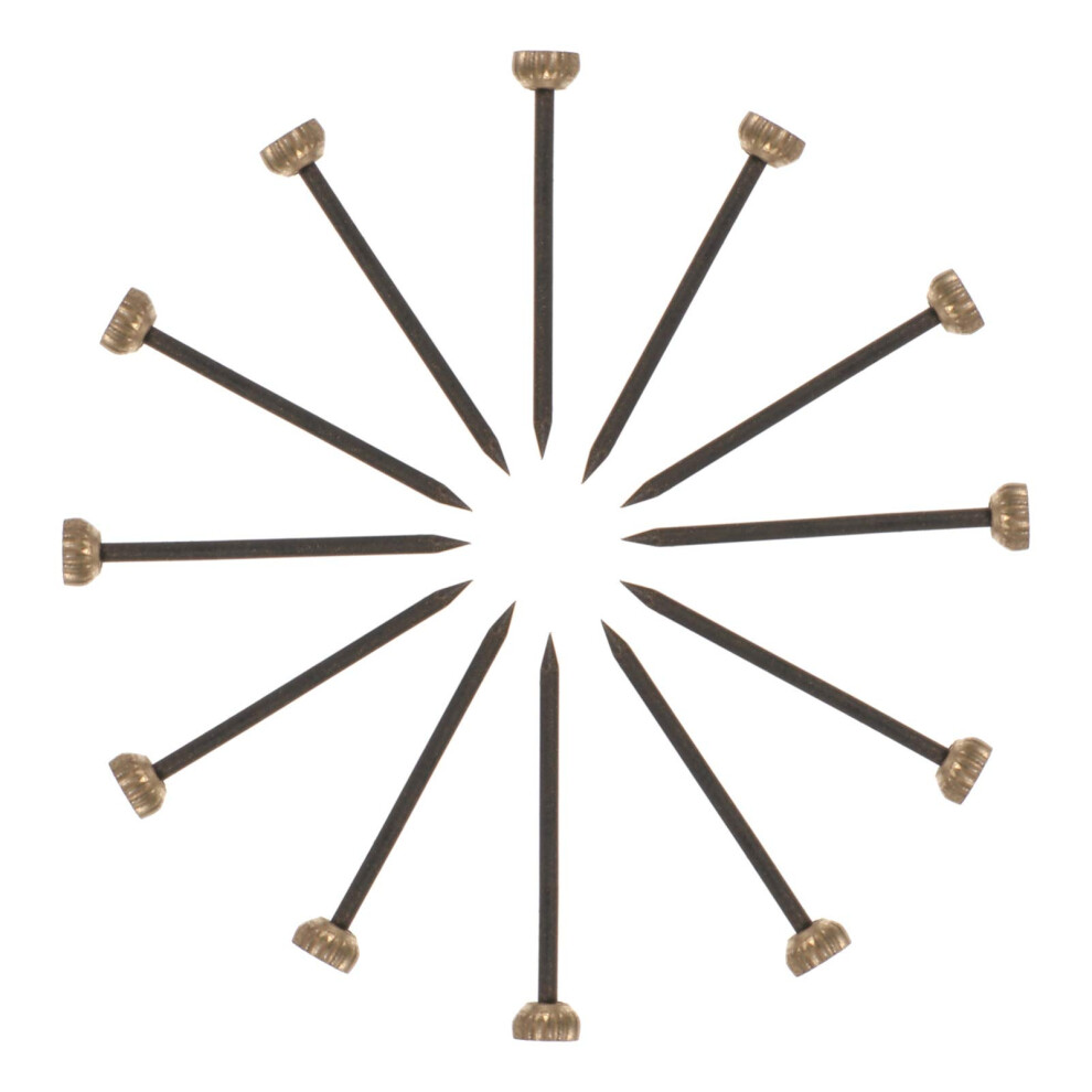 Picture Frame Nails With Copper Head Diy Craft Accessories For Hanging Pictures And Photos Ideal For Woodwork And Creative Projects 9365049506281