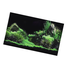 Aquarium Aquarium Meeresboden Wasser Gras