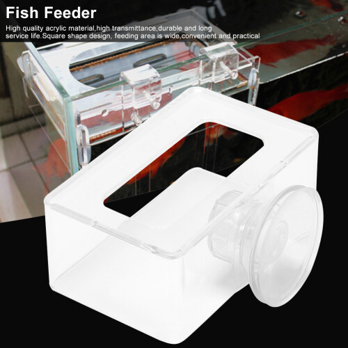 Einfach zu installierender Fischfutter-Futterring