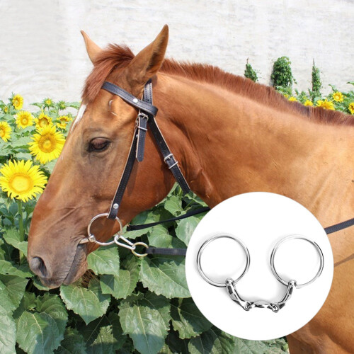 Edelstahl Dee Bit Trense Allzweckring Pferd 2