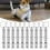 10PCS Einstellbare Hund Pfeife Trainer Sound 10