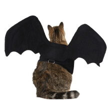 Haustier Katze Fledermausflügel Kostüm Haustier