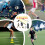Flexible Agility Train Pack of 5 2