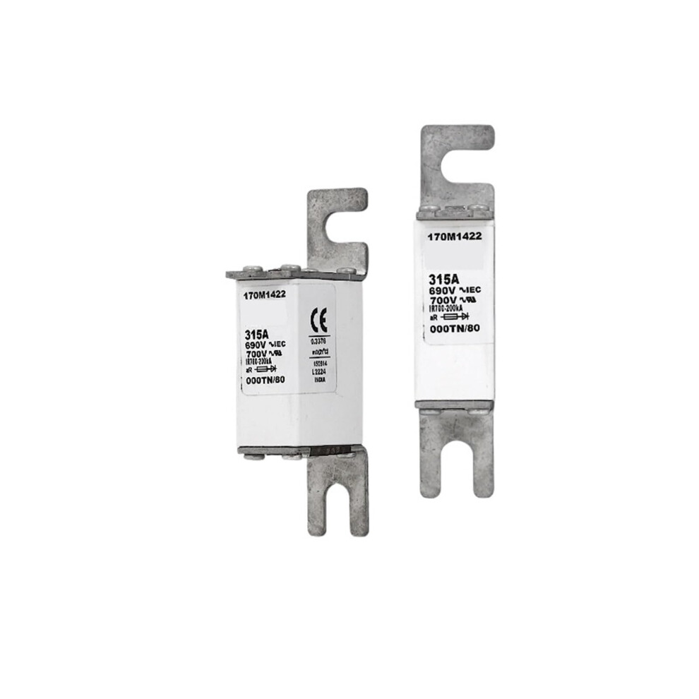 170M1369 Fast Acting Fuse/High Voltage Fuse 9412369534248