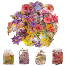240pcs Flower Scrapbook Stickers Aesthetic, Stickers for Scrapbooking, PET Waterproof Transparent Self Adhesive Natural Flowers Aesthetic Scrapbook St