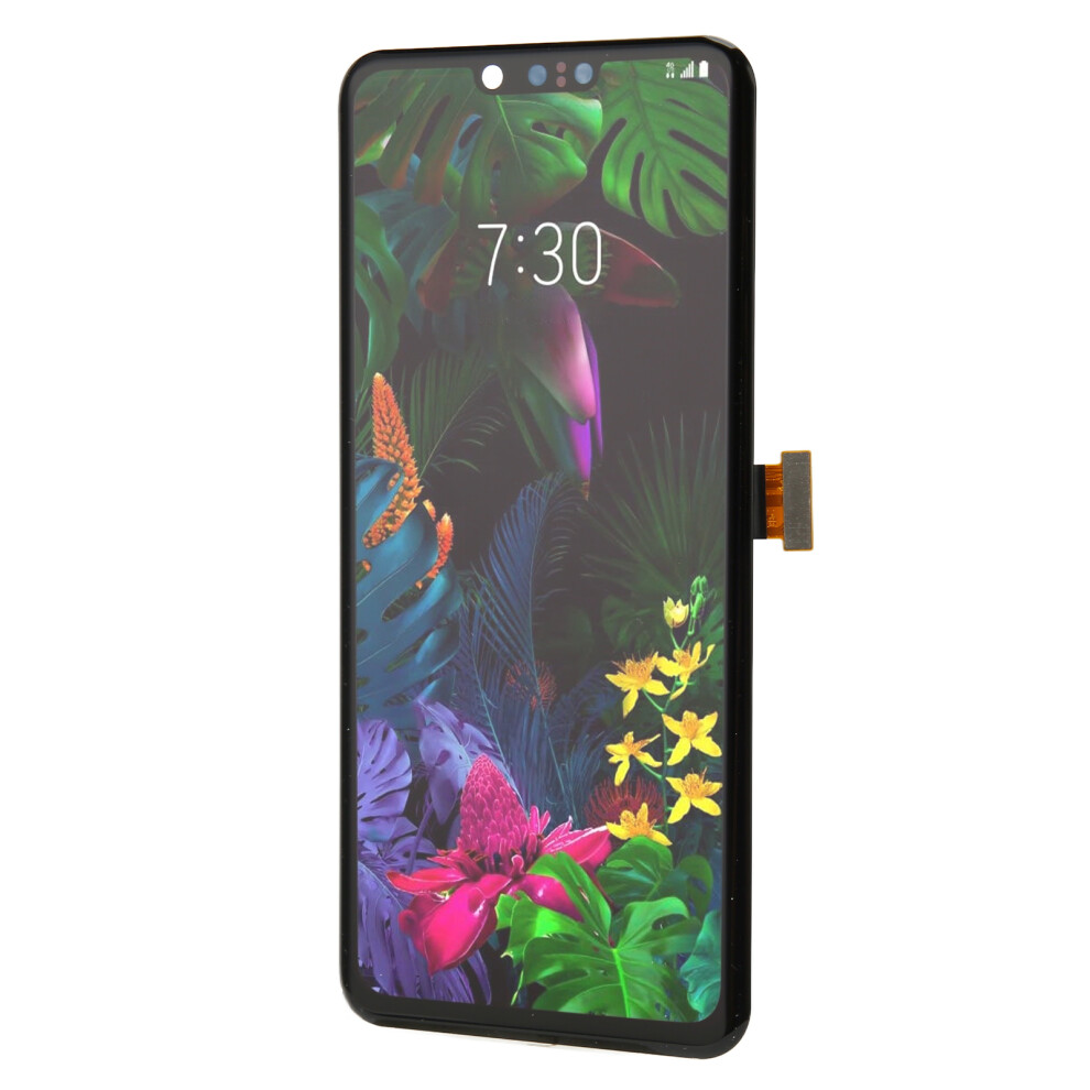 6,1-Zoll-Telefonbildschirm-Ersatzkit 16:9 8141948753596