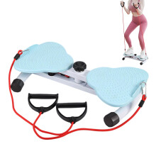 Balance Board, ABS Noiseless Exercise Equipment, Home Gym Fitness Tool, Core Strength Training, Slim Body Workout, 53 x 33 x 11.5 cm Blue