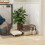 Cat Litter Box 5