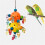 5pack Parrots Lovely Birds Swing Reliability-single ball 5