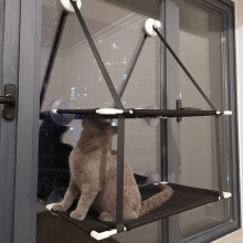 Doppelschichtige Katzenfenster-Hängematte,