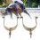 Westernsporen, rostfrei, giftfrei, 12