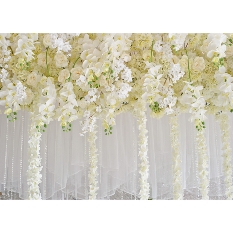 2,1 X 1,5 M/7 X 5 Fuã Fotohintergrã¼Nde, 8141948171581