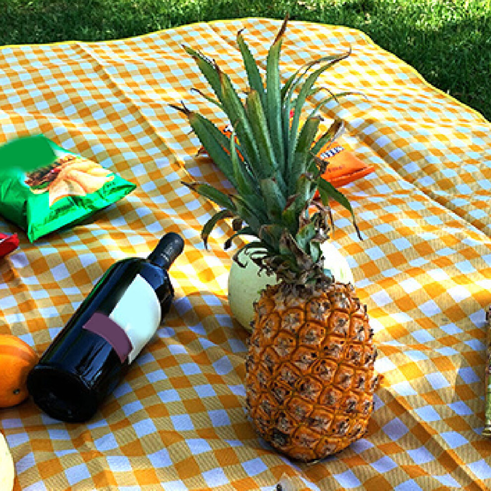 Picknickdecke, Wasserdicht, Tragbar, 8141948187834
