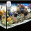 Automatischer Fischfutterspender mit großer 12