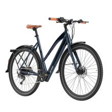 FAFREES F700W 250W 15MPH City Electric Bike,blue