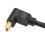 DP-Buchse auf Mini-DP-Stecker, Kabel mit 13