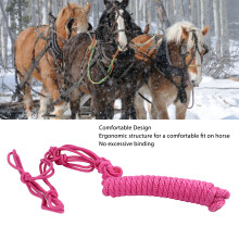 Seilhalfter, mehrere Knoten, verstellbar, sicher,
