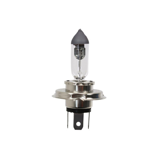 6V 60/55W P43t H4 (Incandescent Bulb)