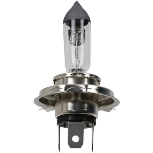 6V 60/55W P43t H4 (Incandescent Bulb) 1