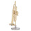 Miniatur-Trompete, langlebiges Messing, exquisites 7