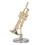 Miniatur-Trompete, langlebiges Messing, exquisites 10