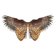 Bird Wing Children Kids Costume Accessories Owl Wing for Festival Birt