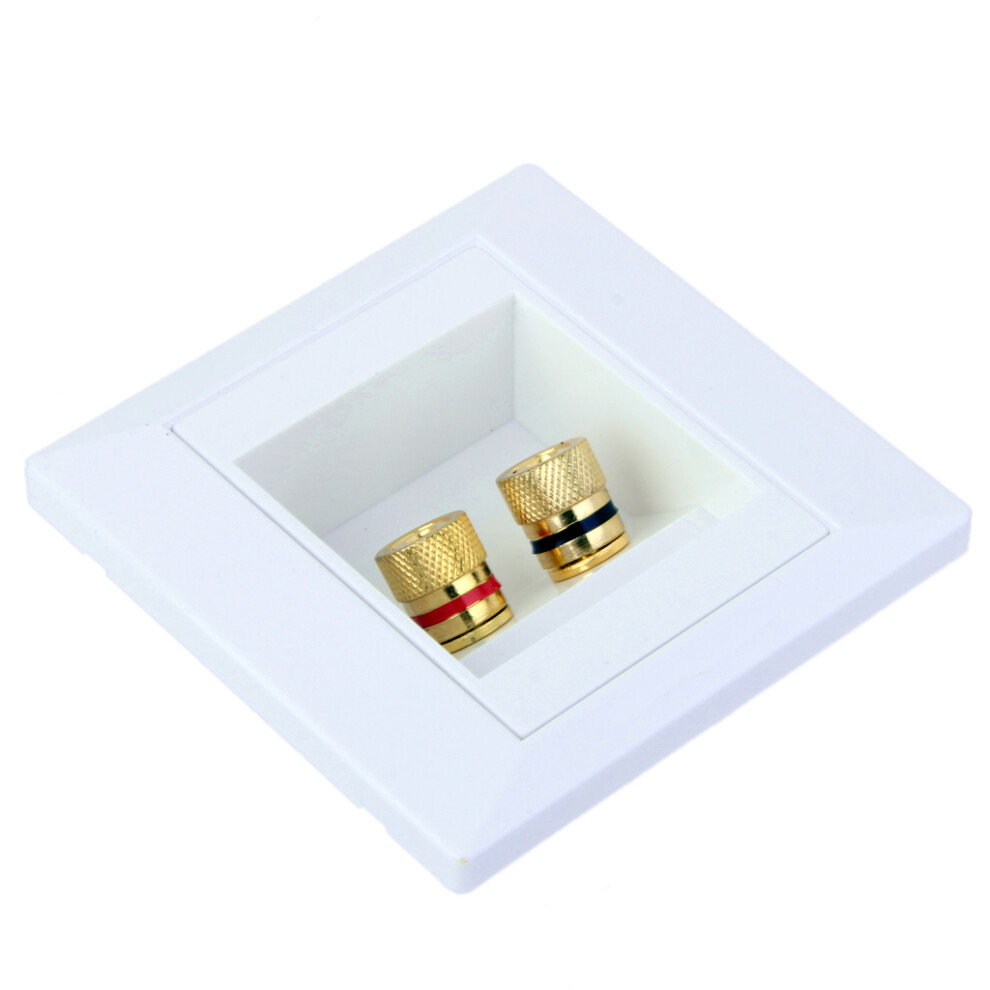 Port Speaker Binding Post Wall Face Plate For Banana/Spade Plugs / Cab 746210358165