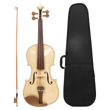 4/4 Violin Set Portable Beginner Violin Kits for Beginner Violin Lover