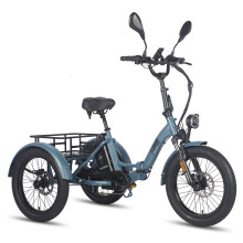 FAFREES F20 Mate 21AH Electric Tricycle 500W,BLUE