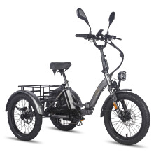 FAFREES F20 Mate 21AH Electric Tricycle 500W,Black