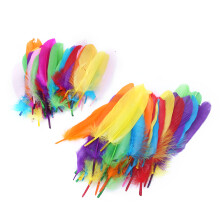 100PCS Farbige Federn DIY Material Paste