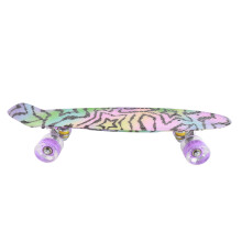 22'' Skateboard mit farbigen LED-Rädern,
